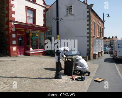 Due gli apicoltori la raccolta di uno sciame di api in Kirbymoorside Market Place North Yorkshire Foto Stock