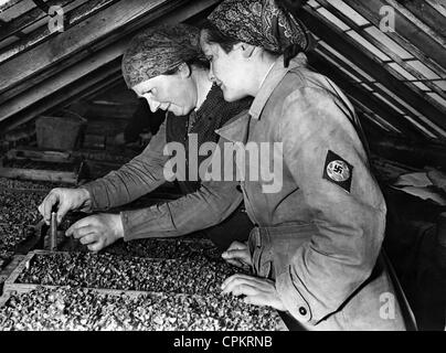 Elemento femmina del Reich Servizio del lavoro [Reichsarbeitsdienst, RAD] opere presso l'agricoltore, 1937 Foto Stock