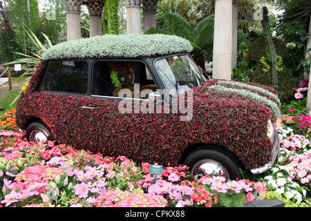 Impianto coperto Mini, Birmingham City Council Display, il Chelsea Flower Show 2012 Foto Stock