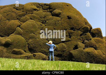 Donna che guarda l'inglese Yew Hedge Foto Stock