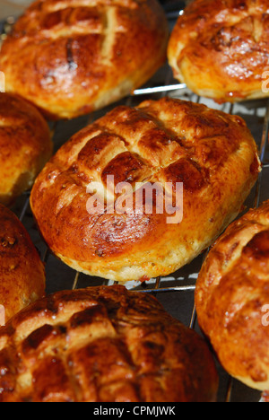 Appena sfornato il formaggio e pancetta affumicata pogacsas (ungherese scones salati) raffreddare su una griglia. Foto Stock