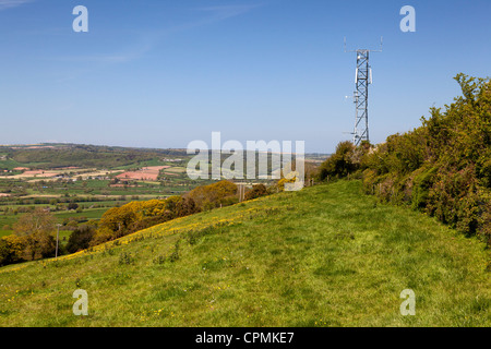 Montante di telecomunicazioni nel mezzo della campagna, Musbury, Devon Foto Stock