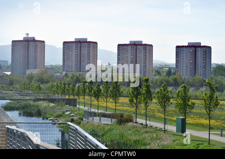 Multi-storey appartamenti - quattro blocchi a torre a Little France Edinburgh Foto Stock