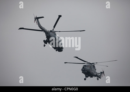 Due Lynx elicotteri militari di effettuare manovre Foto Stock