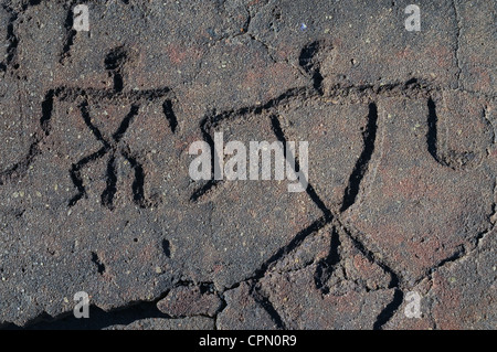 Elk284-3234 Hawaii, HI, Waikoloa petroglifi preservare, figure scolpite nella roccia vulcanica Foto Stock