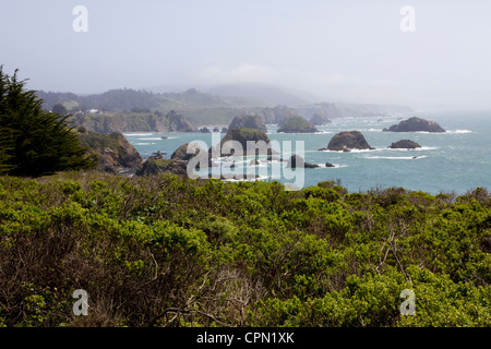 Il robusto, rock-disseminata Mendocino County costa vicino alla città di Mendocino, CA, Stati Uniti d'America. Foto Stock