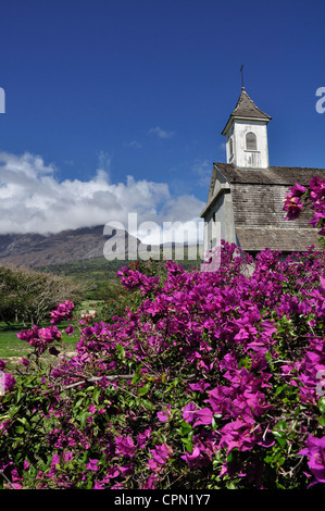 Il Bougainvillea nella parte anteriore della chiesa di San Giuseppe, Kaupo, Maui Hawaii Foto Stock