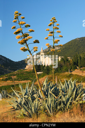 La chiesa nella città di Komiza Foto Stock