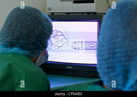 FECONDAZIONE IN VITRO Foto Stock