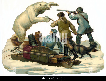 Caccia, caccia al bearhunting, orso polare attaccando persone, Germania, circa 1895, Additional-Rights-Clearences-non disponibile Foto Stock
