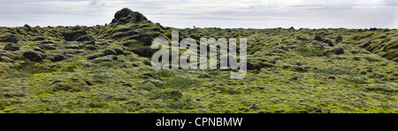 Vista panoramica di moss-coperto campo di lava, Islanda Foto Stock