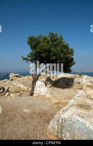 I religiosi sul monte Tabor in Israele dove Gesù Cristo è stato Foto Stock