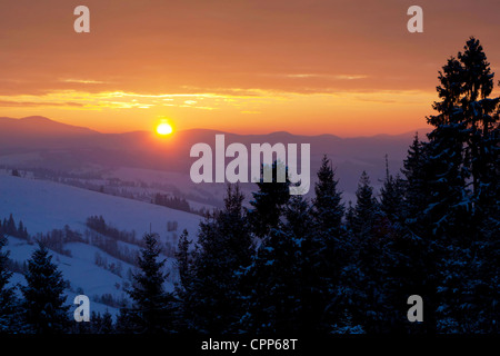 Bellissima alba nelle montagne dei Carpazi, Ucraina Foto Stock