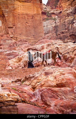 Bedouin salendo dalla strada delle facciate per l'alto luogo del sacrificio (Al-Madbah), Petra, Giordania, Asia Occidentale Foto Stock