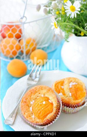 Dolce muffin di albicocche in сupcakes Foto Stock