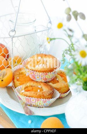 Dolce muffin di albicocche in сupcakes Foto Stock