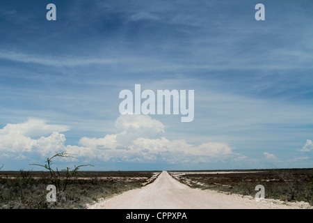 Un lungo rettilineo di strada bianca nel Parco Nazionale Etosha Foto Stock