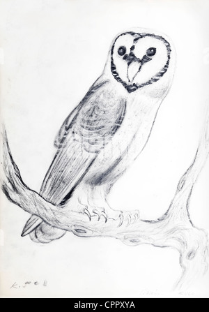 Il barbagianni (Tyto alba) - carboncino su carta da Kurt Tessmann Foto Stock