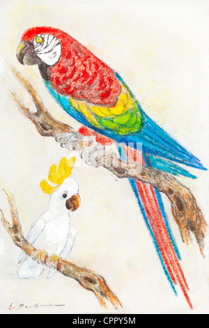 Macaw e cacatua ritratto - colore pastello gessetto su carta da Kurt Tessmann Foto Stock