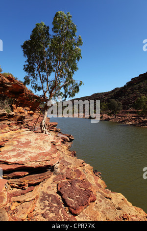 Il fiume Murchison fluisce attraverso Kalbarri National Park in Australia Occidentale. Foto Stock
