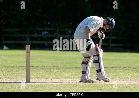 Village cricket al grande Alne Foto Stock