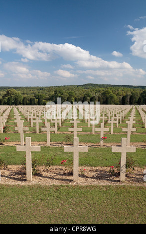 Vista generale oltre il francese Cimitero Nazionale di fronte all'Ossario Douaumont, vicino a Fort Douaumont, vicino a Verdun, Francia. Foto Stock