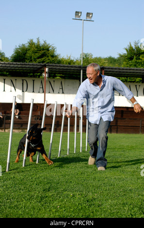 Un italiano più famoso cinema e tv cani trainer Massimo Perla, durante ad agilità di addestramento del cane, Roma, Italia Foto Stock