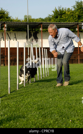 Un italiano più famoso cinema e tv cani trainer Massimo Perla, durante ad agilità di addestramento del cane, Roma, Italia Foto Stock