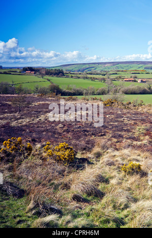 Vista su Glaisdale, North Yorkshire Moors National Park Foto Stock