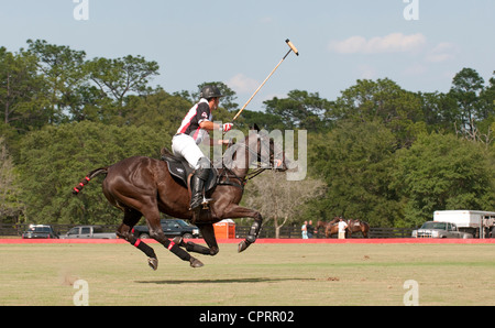 In sella qui è Jose Cuko Escapite nella fattoria di stato colori giocatore di polo da Argentina Foto Stock