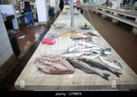 Mercato del Pesce Zadar croazia Foto Stock