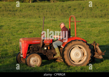Agricoltore sul trattore Massey Ferguson nella luce della sera, Eden Valley, Cumbria Foto Stock