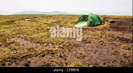 Un uomo due tenda piantato sul bagnato moorland torbiera in montagna nera del Galles Foto Stock