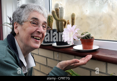 Val marrone da Hove è rimasto scioccato di vedere uno dei suoi cactus fioritura per la prima volta dopo aver nutrito per 25 anni Foto Stock