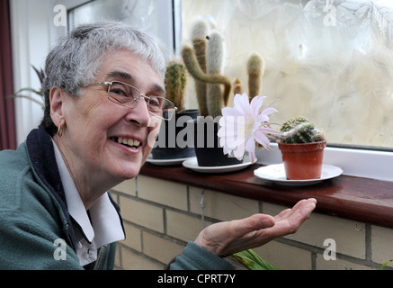 Val marrone da Hove è rimasto scioccato di vedere uno dei suoi cactus fioritura per la prima volta dopo aver nutrito per 25 anni Foto Stock