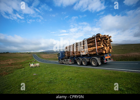 Registro di Scania camion di trasporto; Logging camion. Legname di autotrasporti a Ribblehead Rail Link, North Yorkshire Dales, REGNO UNITO Foto Stock