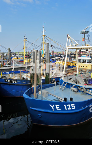 Barche da pesca / frese di mitili nel porto di Yerseke lungo la Oosterschelde / Schelda Orientale, Zelanda, Paesi Bassi Foto Stock