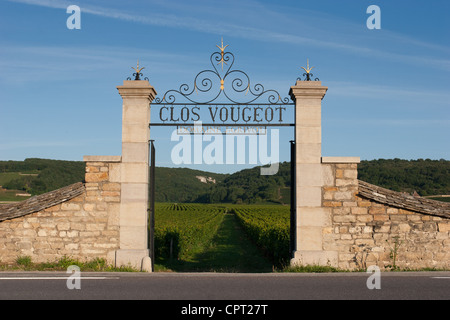 Il paesaggio intorno a cotes de nuits vigneti della Borgogna, in Francia. Casa del famoso grand cru vini rossi. Foto Stock