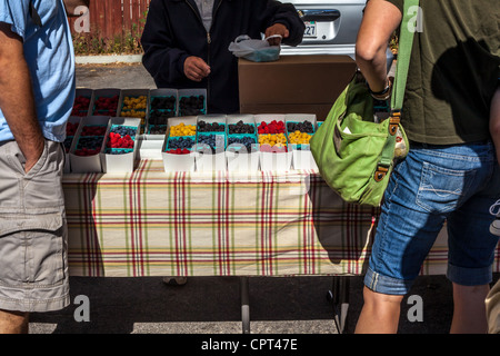 Scene del mercato agricolo USA Ojai della California di domenica, dove tutti i prodotti e le merci sono coltivati organicamente Foto Stock