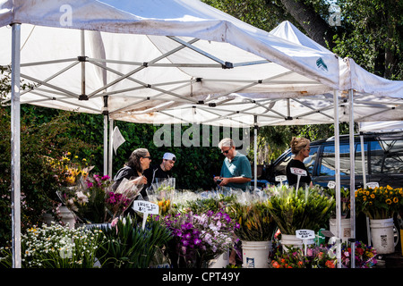 Scene del mercato agricolo USA Ojai della California di domenica, dove tutti i prodotti e le merci sono coltivati organicamente Foto Stock