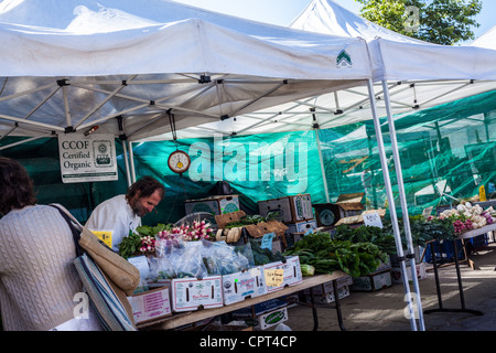 Scene del mercato agricolo USA Ojai della California di domenica, dove tutti i prodotti e le merci sono coltivati organicamente Foto Stock