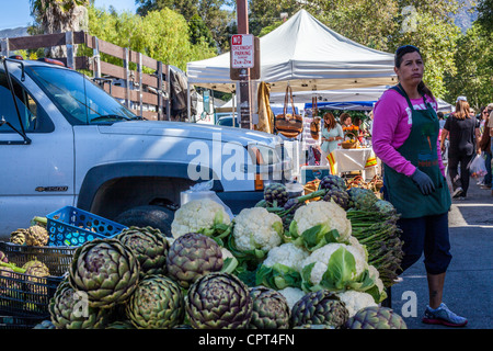 Scene del mercato agricolo USA Ojai della California di domenica, dove tutti i prodotti e le merci sono coltivati organicamente Foto Stock