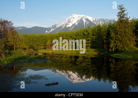 Montare Cheam riflessioni - Agassiz, British Columbia, Canada Foto Stock