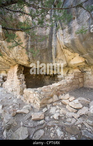 Camera Sinagua costruita a ridosso di una sporgenza di pietra calcarea. Walnut Canyon, Arizona. Foto Stock