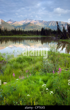 Un tarn lungo il Chugach Mountains e Hwy 1 in Alaska Foto Stock