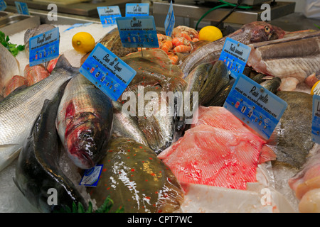 Pesce fresco al mercato in Honfleur, Francia. Foto Stock