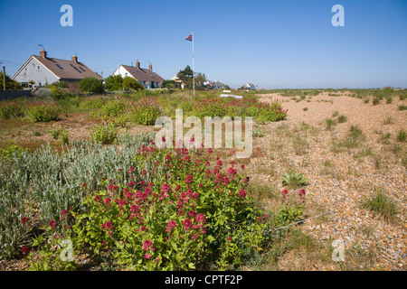 Vegetò shingle case sulla spiaggia di ciottoli Street, Suffolk, Inghilterra Foto Stock