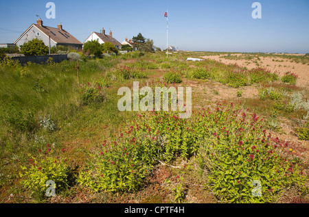 Vegetò shingle case sulla spiaggia di ciottoli Street, Suffolk, Inghilterra Foto Stock