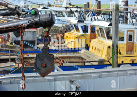 Barche da pesca / frese di mitili nel porto di Yerseke lungo la Oosterschelde / Schelda Orientale, Zelanda, Paesi Bassi Foto Stock