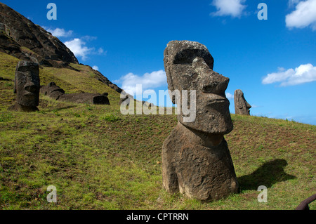 Moai Rano Raraku quarry Isola di Pasqua Cile Foto Stock